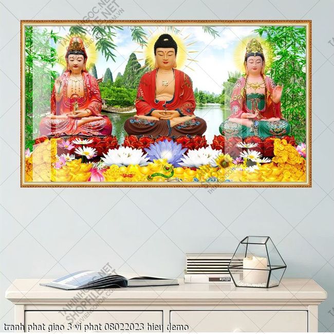 tranh phat giao 3 vi phat 08022023 hieu
